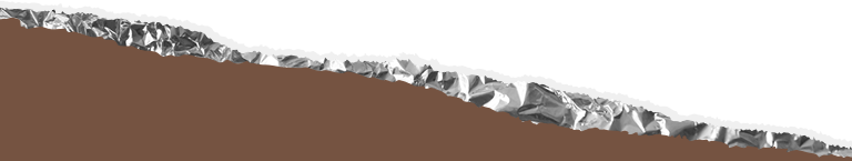 HERSHEY'S_Collection