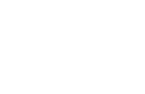 ZERO SEBUM